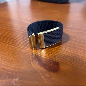 Whoop Luxe Onyx & Gold Band